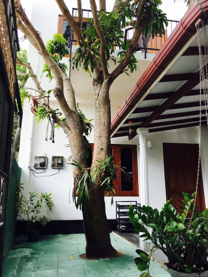 House Of Seya Bed & Breakfast Negombo Exterior photo