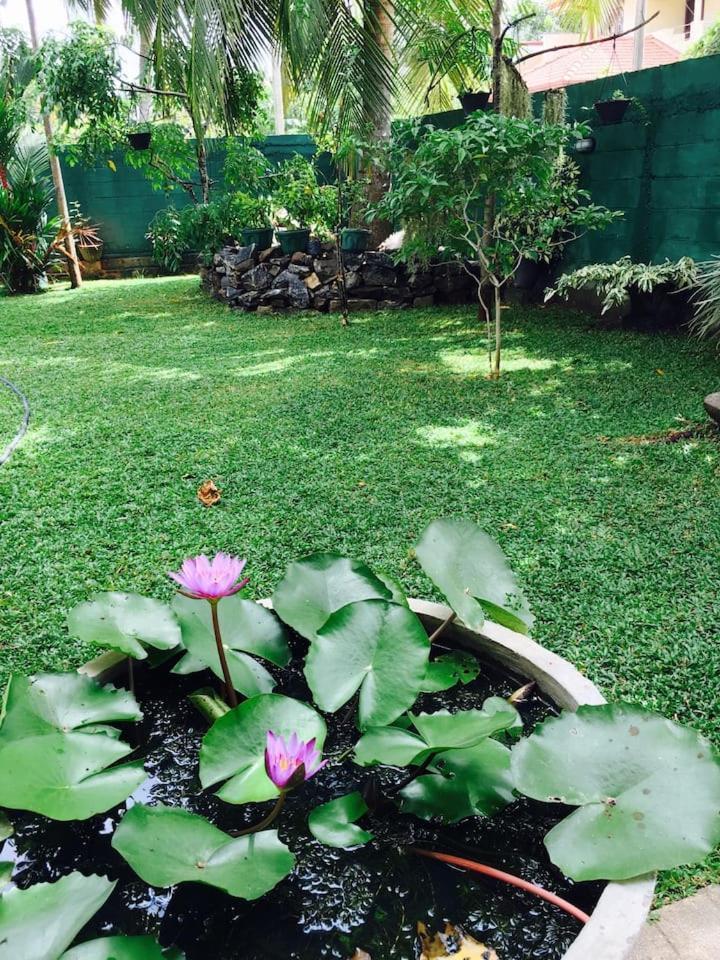 House Of Seya Bed & Breakfast Negombo Exterior photo