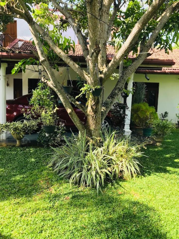 House Of Seya Bed & Breakfast Negombo Exterior photo