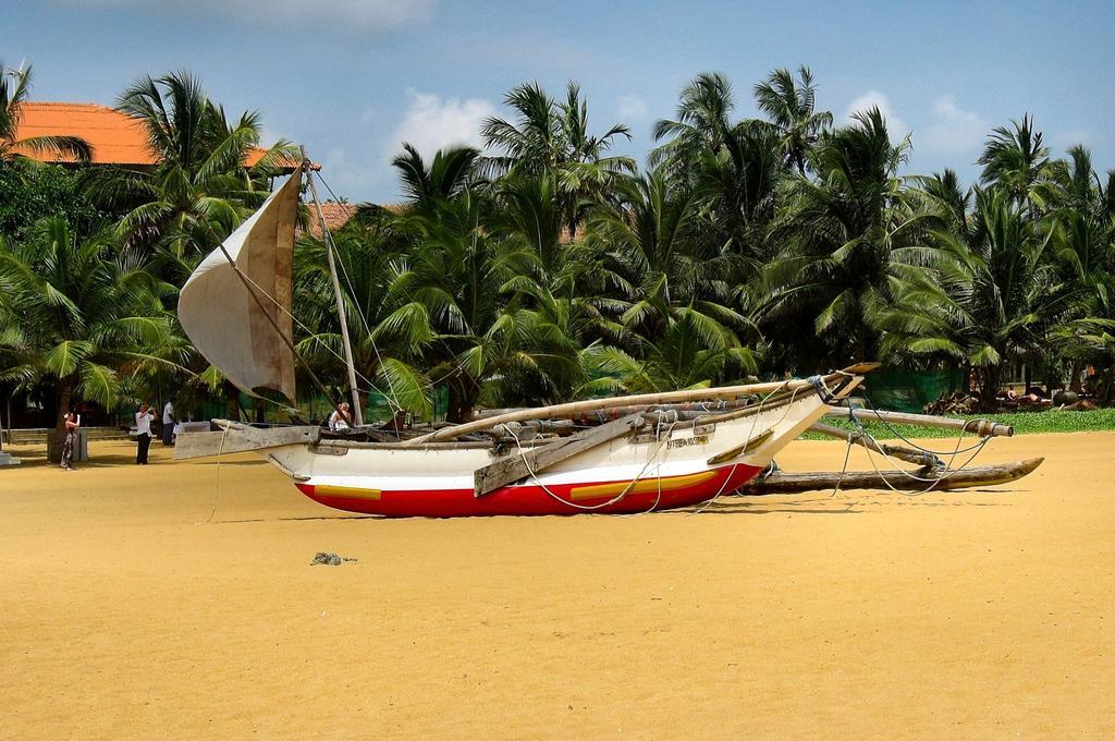 House Of Seya Bed & Breakfast Negombo Exterior photo